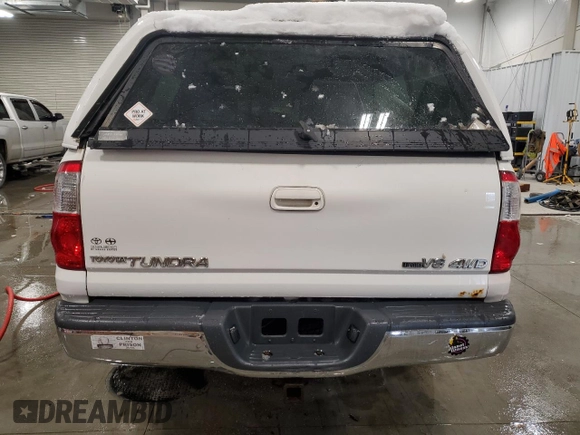 2005 Toyota Tundra Ltd with VIN 5TBDT48185S497292, listed as a Copart auction lot 45950975 with 142,317 mi miles and Clean Title. Bid and sale history available at carsss.com. Image 6.