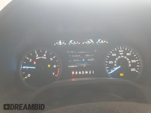 2016 Ford F-150 XLT with VIN 1FTEW1EG2GKF93746, listed as a Copart auction lot 57030625 with 124,989 mi miles and Salvage title. Bid and sale history available at DreamBid. Image 9.