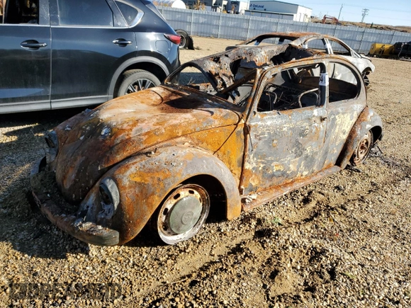 1969 Volkswagen Beetle with VIN 119732081, listed as a Copart auction lot 73503964 with Not Provided miles and Non Repairable. Bid and sale history available at DreamBid. Image 1.