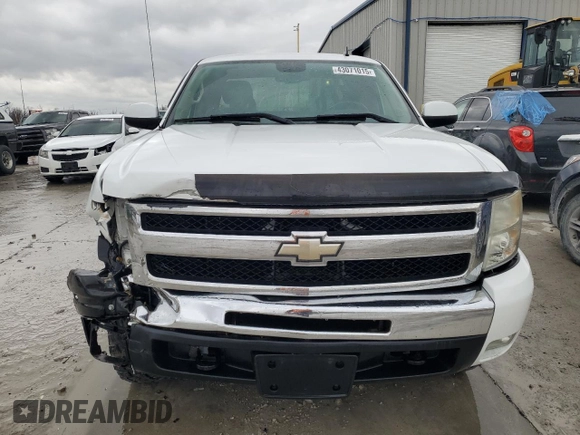 2009 Chevrolet Silverado 1500 LT with VIN 1GCEK29J49Z128984, listed as a Copart auction lot 43071015 with 172,641 mi miles and Salvage Title. Bid and sale history available at carsss.com. Image 5.