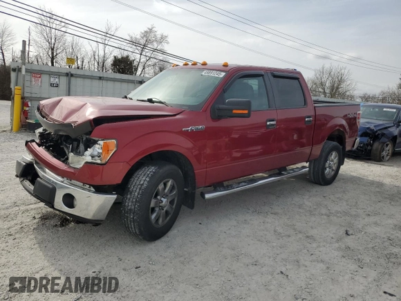 2013 Ford F-150 XL with VIN 1FTFW1EF5DFA72956, listed as a Copart auction lot 49891245 with 142,672 mi miles and Salvage Title. Bid and sale history available at DreamBid. Image 1.