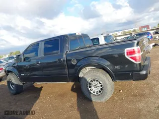 2013 Ford F-150 XL with VIN 1FTFW1CT2DKG31296, listed as a IAAI auction lot 41429841 with 0 mi miles. Bid and sale history available at carsss.com. Image 14.