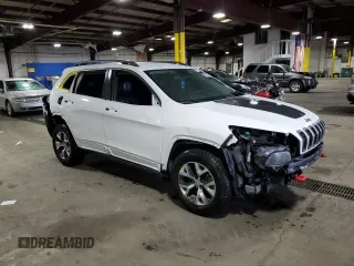 2016 Jeep Cherokee Trailhawk with VIN 1C4PJMBS8GW166629, listed as a Copart auction lot 55845415 with 122,290 mi miles and Salvage title. Bid and sale history available at DreamBid. Image 4.