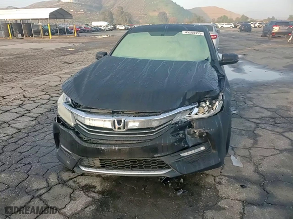 2016 Honda Accord Sedan EX with VIN 1HGCR2F72GA199349, listed as a Copart auction lot 49288495 with 123,245 mi miles and Salvage Title. Bid and sale history available at carsss.com. Image 11.