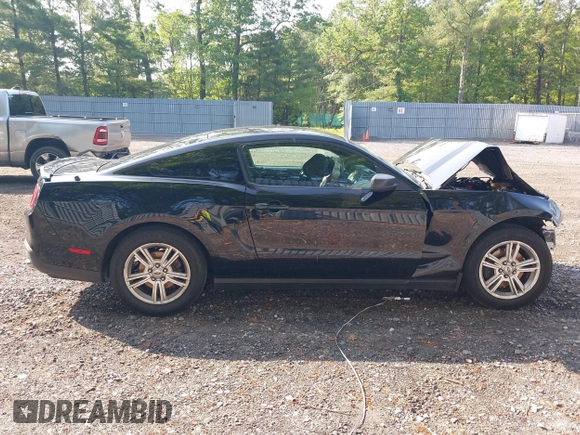 2012 Ford Mustang Premium with VIN 1ZVBP8AM1C5288023, listed as a IAAI auction lot 42486009 with 143,525 mi miles and . Bid and sale history available at DreamBid. Image 13.