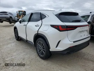 2025 Lexus NX with VIN JTJGDCAZ2S2016027, listed as a Copart auction lot 74098194 with 0 mi miles and Non Repairable. Bid and sale history available at carsss.com. Image 2.
