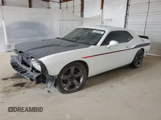 2013 Dodge Challenger R/T z VIN 2C3CDYBT3DH667917, wystawiony jako Copart lot #49747915 z przebiegiem 257 353 mil mil oraz Czysty tytuł • Clean title. Historia ofert i sprzedaży dostępna na DreamBid. Obrazek 1.