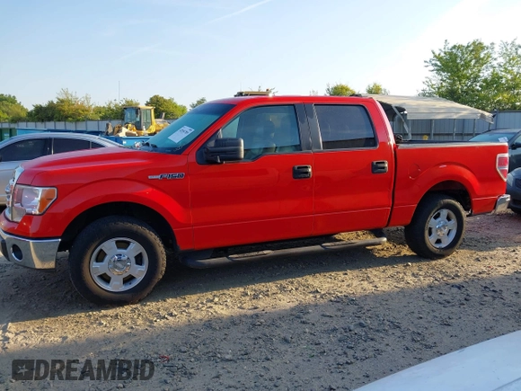 2013 Ford F-150 XL with VIN 1FTEW1CMXDKE99134, listed as a IAAI auction lot 42058789 with 218,432 mi miles. Bid and sale history available at carsss.com. Image 14.
