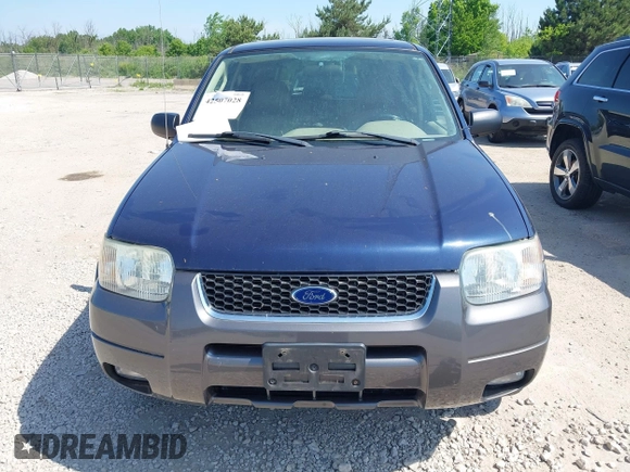 2004 Ford Escape XLT with VIN 1FMYU93154KA24168, listed as a IAAI auction lot 42507028 with 230,348 mi miles and . Bid and sale history available at DreamBid. Image 6.