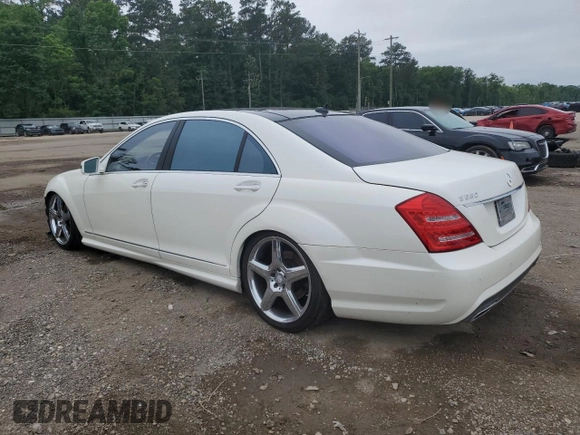2010 Mercedes-Benz S 550 with VIN WDDNG7BB6AA332065, listed as a Copart auction lot 55071685 with 209,325 mi miles and Salvage Title. Bid and sale history available at DreamBid. Image 2.