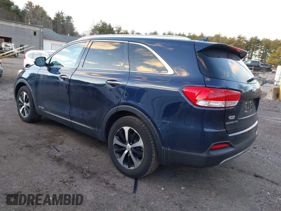 2016 Kia Sorento EX with VIN 5XYPHDA53GG183522, listed as a IAAI auction lot 41231974 with 96,360 mi miles. Bid and sale history available at carsss.com. Image 3.