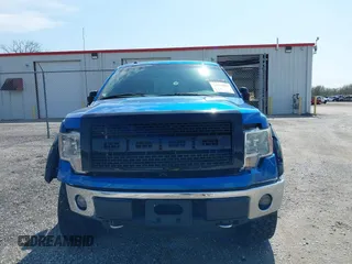 2010 Ford F-150 XL with VIN 1FTFX1EV5AFD48164, listed as a IAAI auction lot 41973597 with 113,671 mi miles and . Bid and sale history available at DreamBid. Image 13.