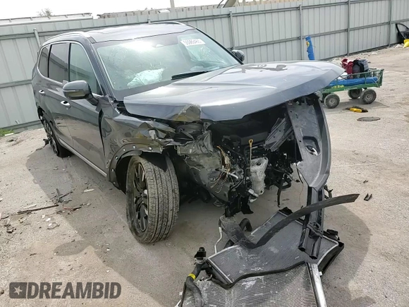 2024 Kia Telluride SX Prestige с VIN 5XYP5DGC6RG458544, выставлен на аукционе Copart как лот 55989465 с пробегом 25 986 миль миль и Списание • Salvage title. История ставок и продаж доступна на DreamBid. Изображение 14.