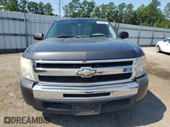 2010 Chevrolet Silverado 1500 LS with VIN 1GCSCREA2AZ114133, listed as a Copart auction lot 69584964 with 205,305 mi miles and Salvage Title. Bid and sale history available at DreamBid. Image 5.