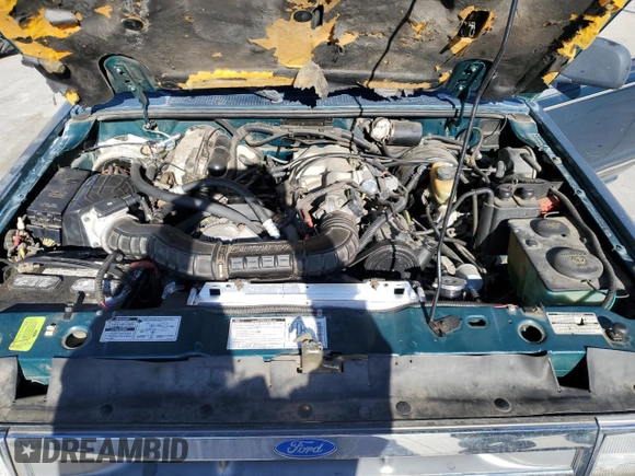 1994 Ford Explorer Eddie Bauer z VIN 1FMDU34X3RUC19020, wystawiony jako Copart lot #79036644 z przebiegiem 423 988 mil mil oraz Szkoda całkowita • Salvage title. Historia ofert i sprzedaży dostępna na DreamBid. Obrazek 11.