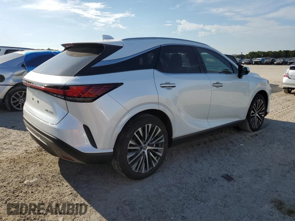 2023 Lexus RX with VIN JTJCHMAA5P2008692, listed as a Copart auction lot 66699123 with 3,217 mi miles. Bid and sale history available at carsss.com. Image 3.