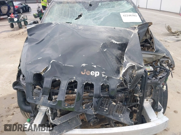 2016 Jeep Cherokee Limited z VIN 1C4PJMDS5GW227996, wystawiony jako IAAI lot #42248382 z przebiegiem 118 466 mil mil oraz . Historia ofert i sprzedaży dostępna na DreamBid. Obrazek 10.
