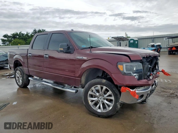 2009 Ford F-150 XL with VIN 1FTRW128X9FA32446, listed as a Copart auction lot 60648505 with 210,587 mi miles and Salvage title. Bid and sale history available at DreamBid. Image 4.