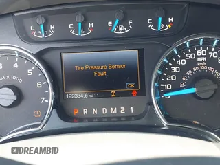 2014 Ford F-150 XL with VIN 1FTFX1CF9EFA98493, listed as a IAAI auction lot 42313850 with 192,334 mi miles and . Bid and sale history available at DreamBid. Image 15.