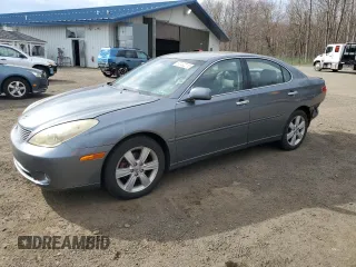 2005 Lexus ES 330 with VIN JTHBA30G655134279, listed as a Copart auction lot 53132215 with 194,052 mi miles and Salvage Title. Bid and sale history available at carsss.com. Image 1.