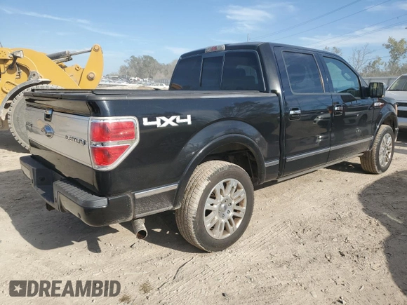 2009 Ford F-150 XL with VIN 1FTPW14V39FA46411, listed as a Copart auction lot 77964244 with 267,792 mi miles and Salvage title. Bid and sale history available at DreamBid. Image 3.