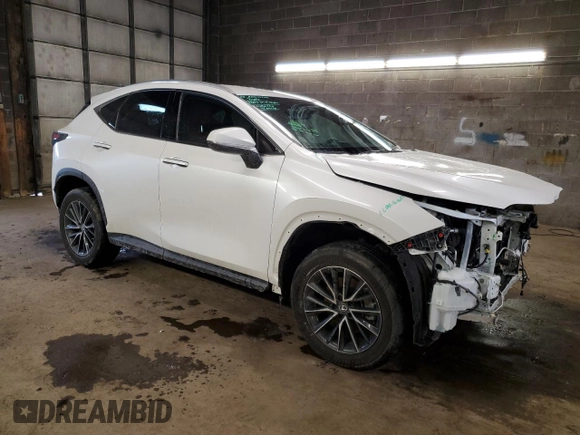 2022 Lexus NX with VIN 2T2ADCEZ5NC001848, listed as a Copart auction lot 45731204 with 48,086 mi miles and Non Repairable. Bid and sale history available at carsss.com. Image 4.