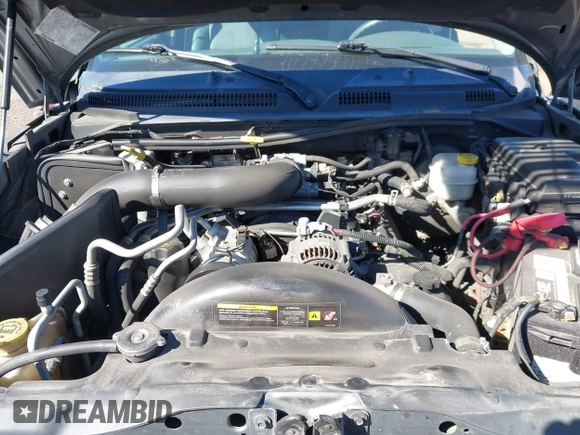 2005 Dodge Dakota SLT with VIN 1D7HW48N25S133725, listed as a IAAI auction lot 42074588 with 163,090 mi miles. Bid and sale history available at carsss.com. Image 10.