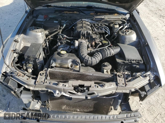 2009 Ford Mustang with VIN 1ZVHT80N295106922, listed as a Copart auction lot 56277875 with Not provided miles and Non repairable. Bid and sale history available at DreamBid. Image 12.