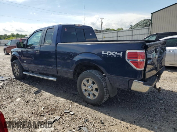 2011 Ford F-150 XL with VIN 1FTFX1ET5BFC44919, listed as a Copart auction lot 58514555 with 166,500 mi miles and Salvage title. Bid and sale history available at DreamBid. Image 2.