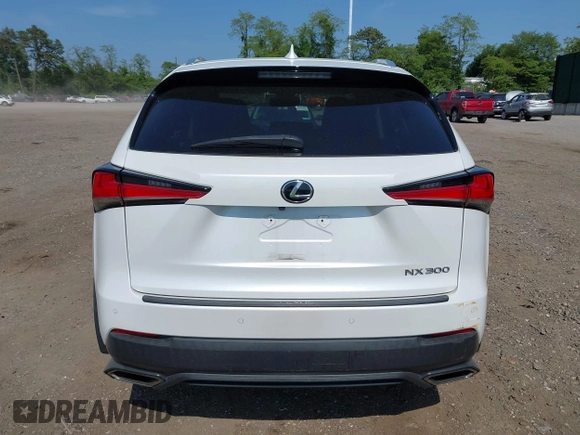2019 Lexus NX 300 с VIN JTJBARBZ6K2197265, выставлен на аукционе IAAI как лот 42376217 с пробегом 64 093 миль миль и . История ставок и продаж доступна на DreamBid. Изображение 16.