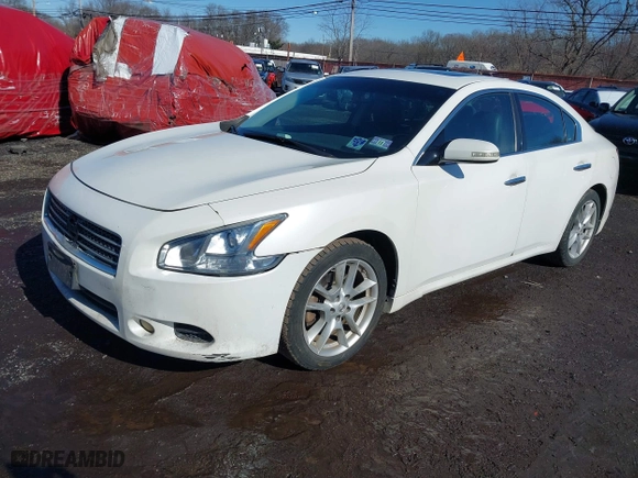 2010 Nissan Maxima 3.5 SV w/Premium Pkg with VIN 1N4AA5AP3AC806950, listed as a IAAI auction lot 41587758 with 123,470 mi miles. Bid and sale history available at carsss.com. Image 2.