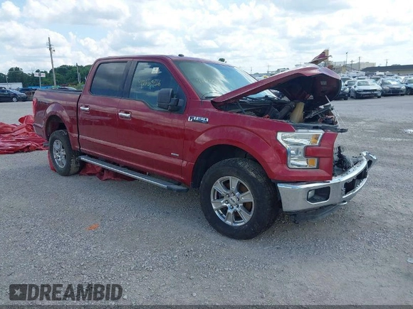 2016 Ford F-150 XLT with VIN 1FTEW1EP7GKD30796, listed as a IAAI auction lot 41213566 with Not provided miles and . Bid and sale history available at DreamBid. Image 13.