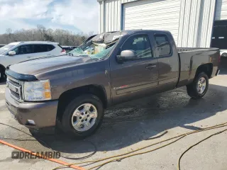 2007 Chevrolet Silverado 1500 with VIN 1GCEC19Y87Z535644, listed as a Copart auction lot 49467895 with 171,782 mi miles and Salvage Title. Bid and sale history available at DreamBid. Image 1.