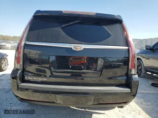 2016 Cadillac Escalade Luxury Collection with VIN 1GYS4BKJ6GR249014, listed as a Copart auction lot 53201765 with 116,444 mi miles and Clean Title. Bid and sale history available at carsss.com. Image 6.