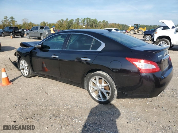 2009 Nissan Maxima 3.5 SV with VIN 1N4AA51EX9C852883, listed as a Copart auction lot 84206414 with 270,191 mi miles and Salvage Title. Bid and sale history available at carsss.com. Image 2.