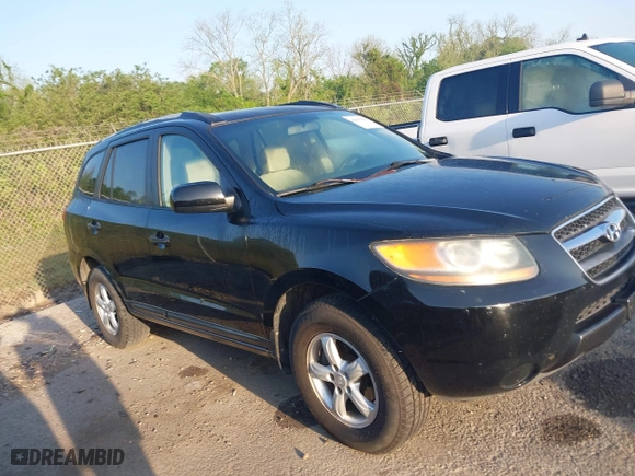 2007 Hyundai Santa Fe GLS with VIN 5NMSG13D67H052655, listed as a IAAI auction lot 41999808 with 163,423 mi miles. Bid and sale history available at carsss.com. Image 13.
