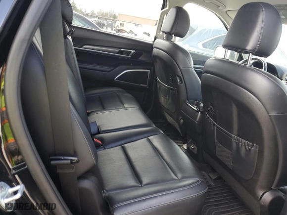 2020 Kia Telluride LX with VIN 5XYP2DHC1LG042254, listed as a Copart auction lot 46775414 with NaN miles and Salvage Title. Bid and sale history available at carsss.com. Image 11.