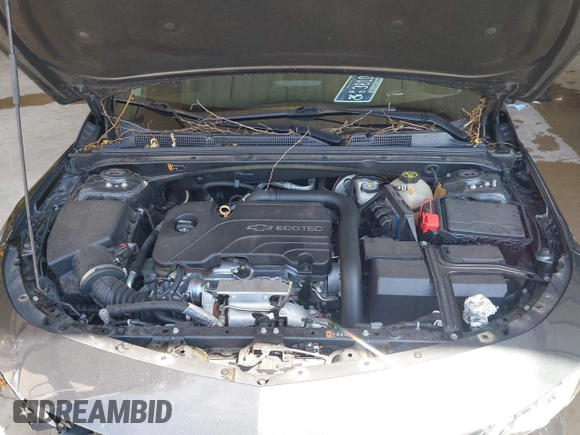 2017 Chevrolet Malibu LT with VIN 1G1ZE5ST4HF242871, listed as a IAAI auction lot 39338550 with 120,604 mi miles and . Bid and sale history available at DreamBid. Image 10.