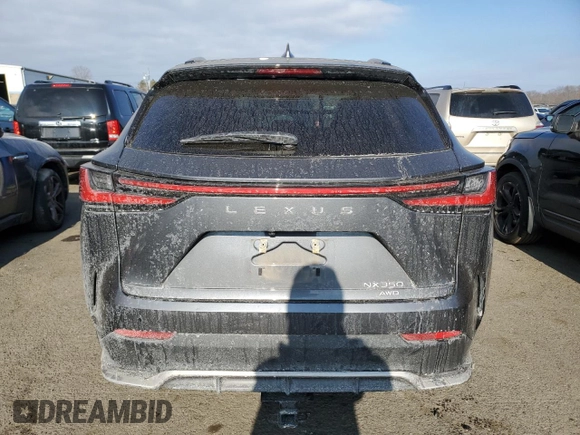 2022 Lexus NX with VIN 2T2KGCEZ9NC003484, listed as a Copart auction lot 88879755 with 54,890 mi miles and Salvage Title. Bid and sale history available at carsss.com. Image 6.