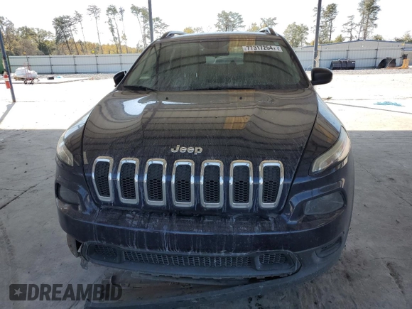 2016 Jeep Cherokee Sport with VIN 1C4PJLAS7GW208431, listed as a Copart auction lot 77317254 with 125,627 mi miles and Salvage title. Bid and sale history available at DreamBid. Image 5.
