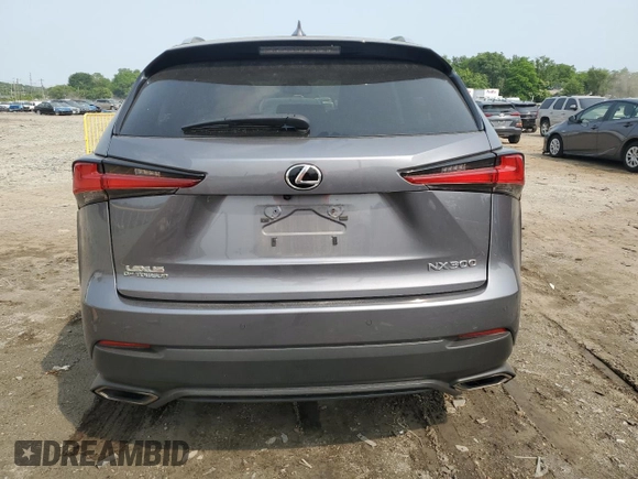 2020 Lexus NX 300 with VIN JTJDARDZ5L5005291, listed as a Copart auction lot 59324265 with 30,451 mi miles and Salvage title. Bid and sale history available at DreamBid. Image 6.