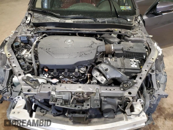 2019 Acura TLX w/A-Spec Pkg z VIN 19UUB2F60KA005006, wystawiony jako Copart lot #50305185 z przebiegiem Nie podano mil oraz Szkoda całkowita • Salvage title. Historia ofert i sprzedaży dostępna na DreamBid. Obrazek 11.