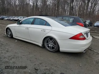 2009 Mercedes-Benz CLS-Class 5.5L with VIN WDDDJ72X49A147565, listed as a Copart auction lot 44361605 with 0 mi miles and Salvage Title. Bid and sale history available at carsss.com. Image 2.