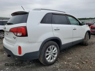 2014 Kia Sorento EX with VIN 5XYKUDA79EG445743, listed as a Copart auction lot 58472615 with 110,019 mi miles and Salvage title. Bid and sale history available at DreamBid. Image 3.
