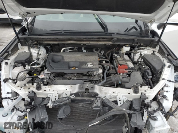 2024 Lexus NX 250 with VIN 2T2ADCAZ6RC010487, listed as a Copart auction lot 42030835 with 42,164 mi miles and Salvage title. Bid and sale history available at DreamBid. Image 12.