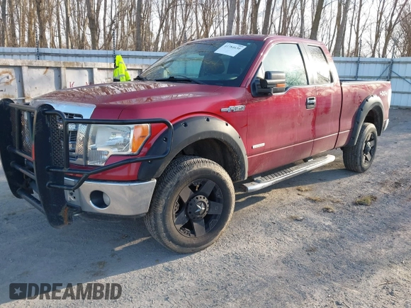 2013 Ford F-150 XL with VIN 1FTFX1ETXDFE02741, listed as a IAAI auction lot 41784630 with 141,081 mi miles and . Bid and sale history available at DreamBid. Image 2.