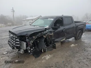 2024 Toyota Tundra Platinum with VIN 5TFNA5DB5RX193987, listed as a Copart auction lot 45086215 with 8,427 mi miles and Salvage title. Bid and sale history available at DreamBid. Image 1.