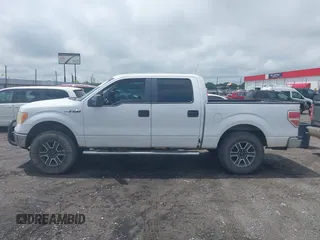 2009 Ford F-150 XL with VIN 1FTPW14V19FA21197, listed as a IAAI auction lot 42196261 with 279,992 mi miles and . Bid and sale history available at DreamBid. Image 14.