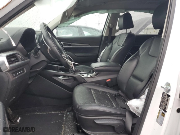 2022 Kia Telluride LX with VIN 5XYP2DHC9NG282137, listed as a Copart auction lot 86538664 with 0 mi miles and Salvage Title. Bid and sale history available at carsss.com. Image 7.