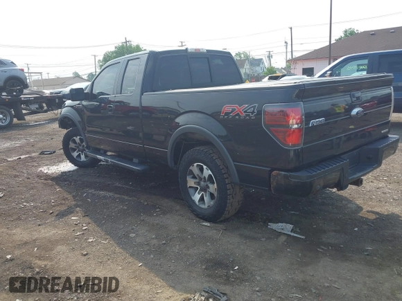 2013 Ford F-150 XL with VIN 1FTFX1EF5DFB74027, listed as a IAAI auction lot 42472119 with 113,681 mi miles and . Bid and sale history available at DreamBid. Image 3.